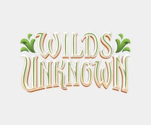 Wilds-Unknown-Wilds-Unknown-Cat-Logo Disney Lorcana Wilds Unknown Booster Box - Pre Order